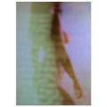 4b8d80e7-b575-46da-a4bc-19312bff190a